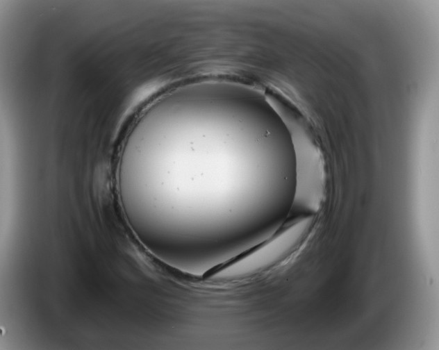 X0000086261164200704122005