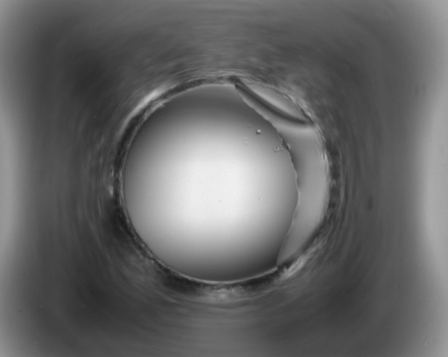X0000086261165200704122005
