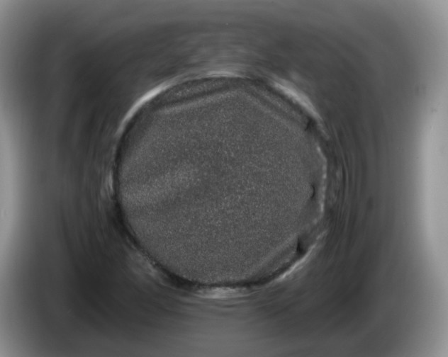 X0000086261166200704122005
