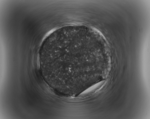 X0000086261171200704122005