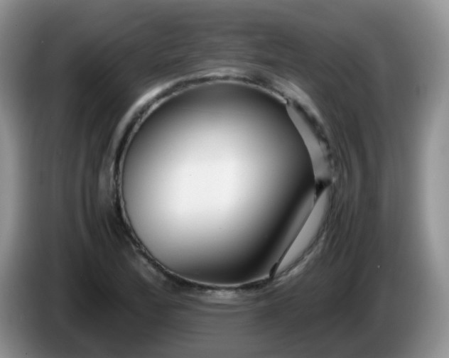 X0000086261172200704122005