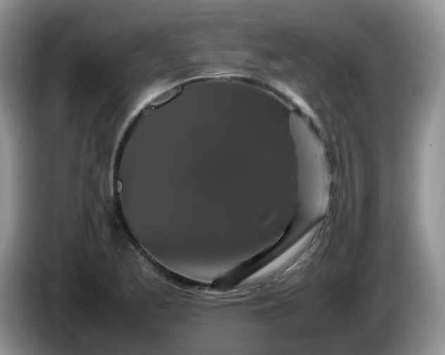 X0000086261173200704122005