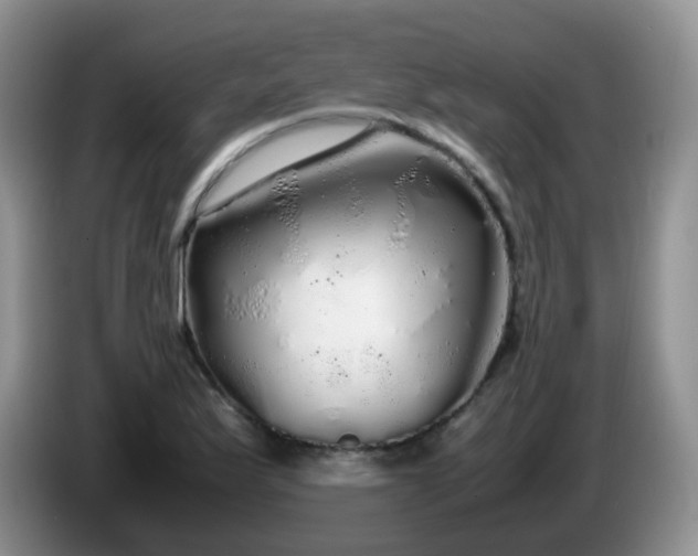 X0000086261175200704122005