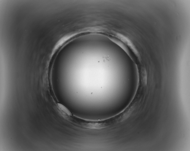 X0000086261176200704122005