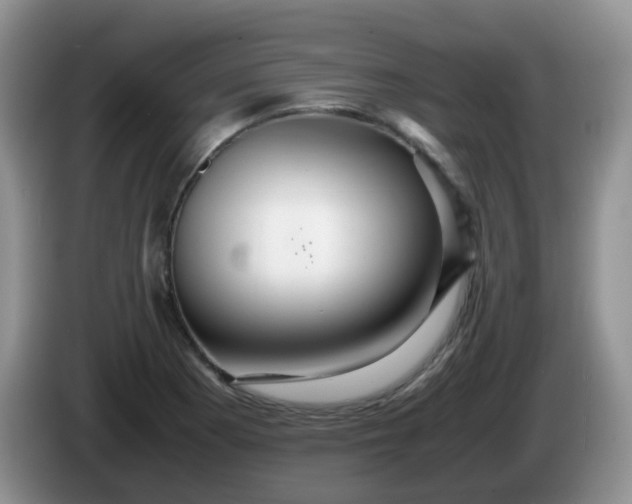 X0000086261177200704122005