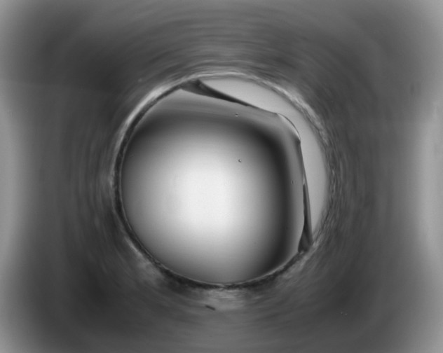 X0000086261181200704122005