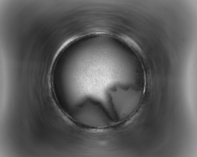 X0000086261182200704122005