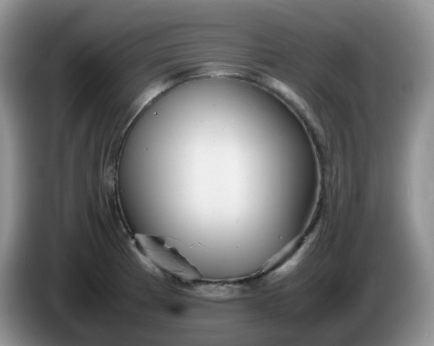 X0000086261185200704122005