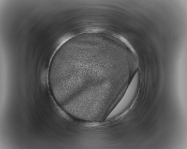 X0000086261186200704122005