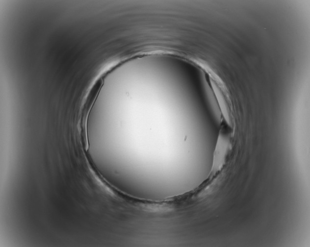 X0000086261189200704122005