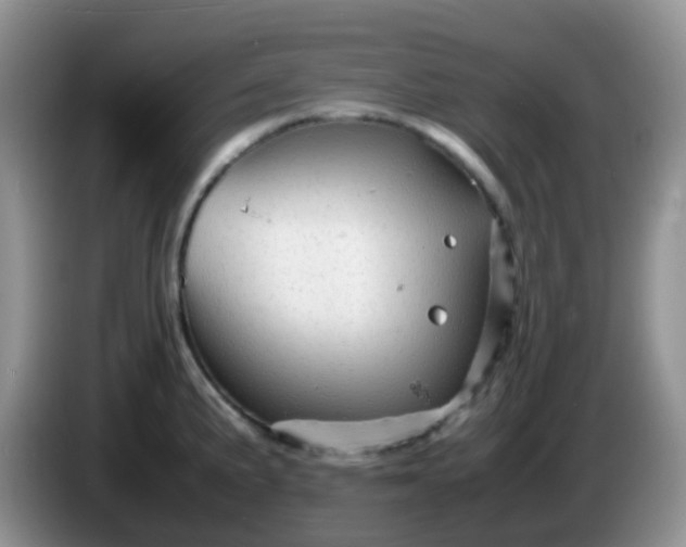 X0000086261191200704122005