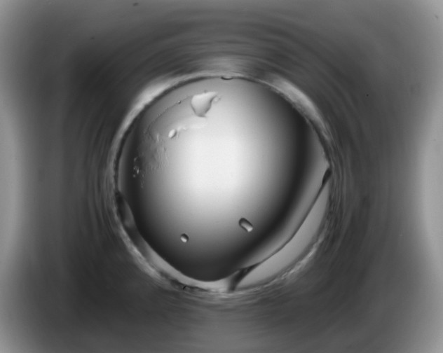 X0000086261192200704122005