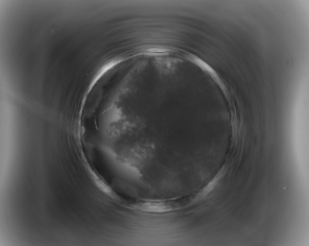 X0000086261194200704122004