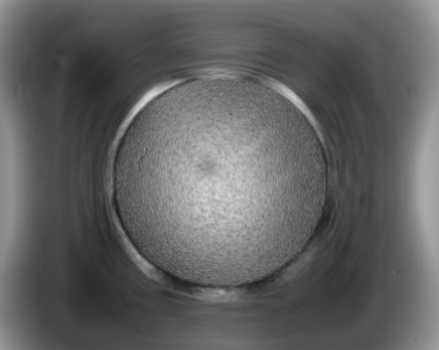 X0000086261195200704122004