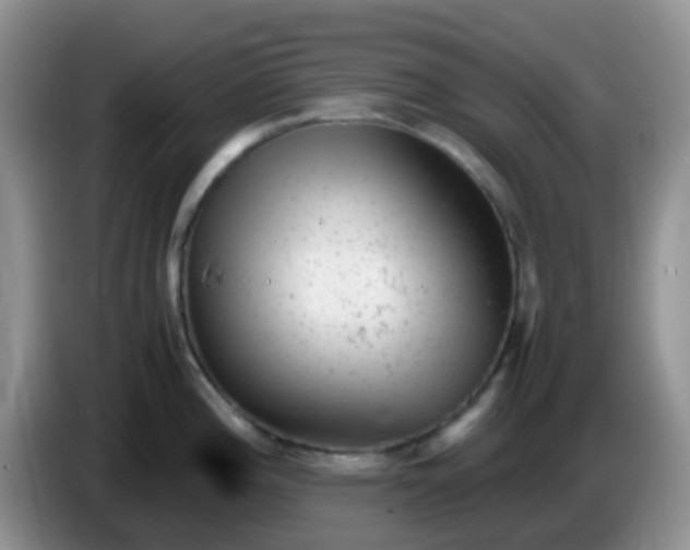 X0000086261196200704122004