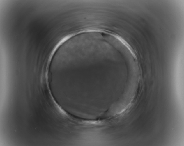 X0000086261197200704122004