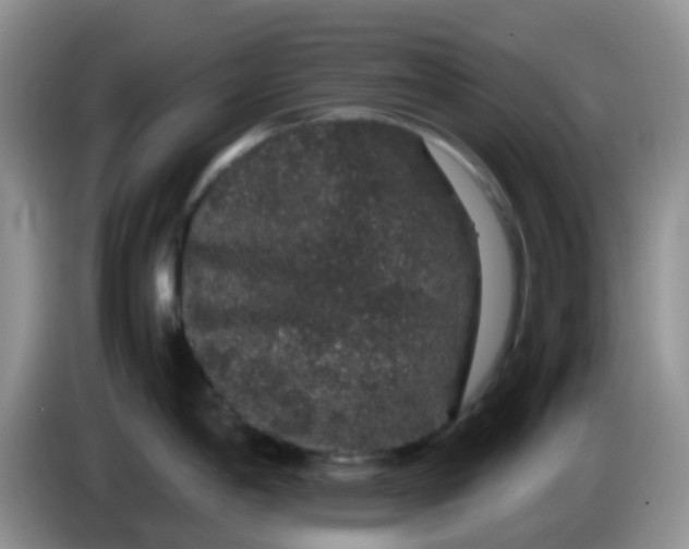 X0000086261198200704122004