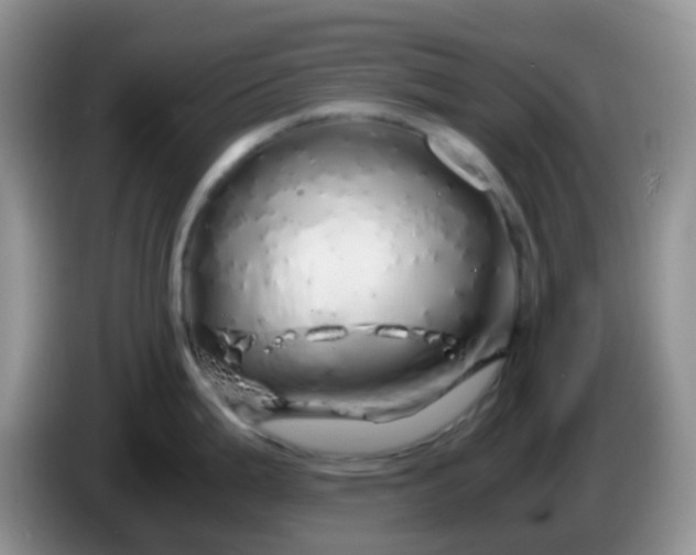 X0000086261199200704122004