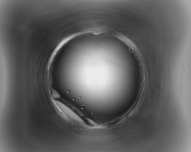 X0000086261200200704122004