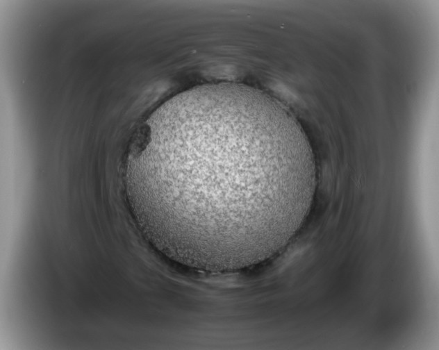 X0000086261201200704122004