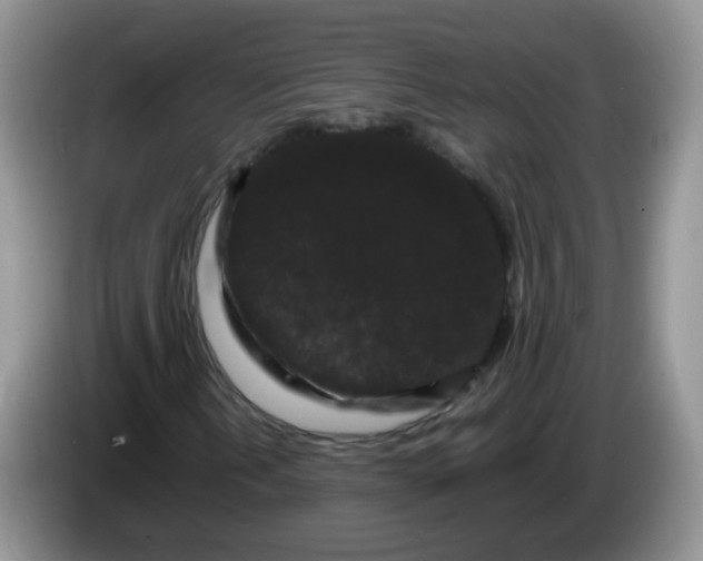 X0000086261202200704122004