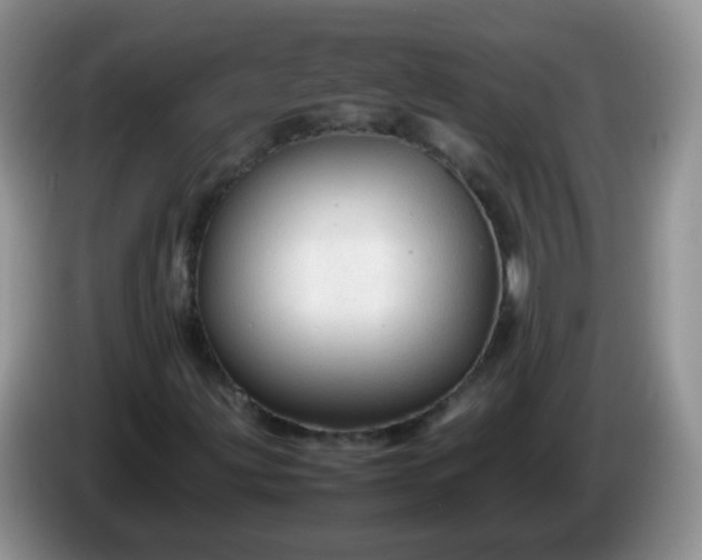 X0000086261203200704122004