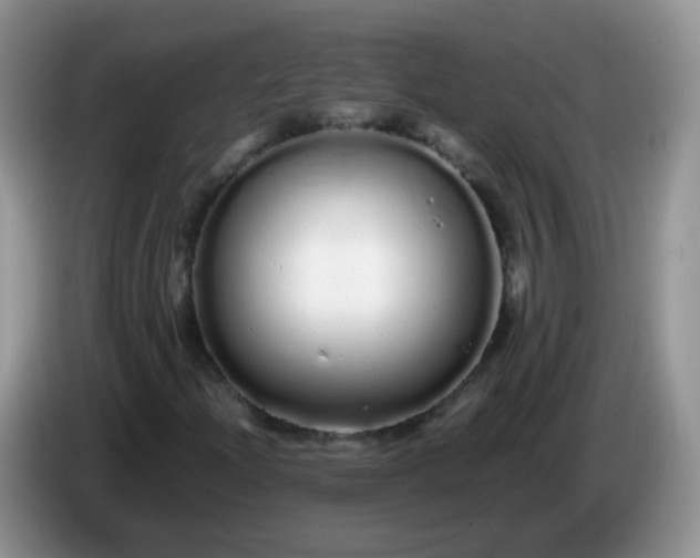 X0000086261204200704122004