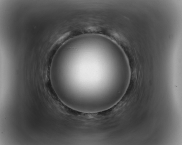X0000086261205200704122004
