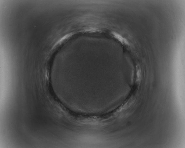 X0000086261206200704122004