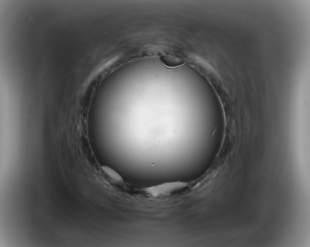 X0000086261207200704122004