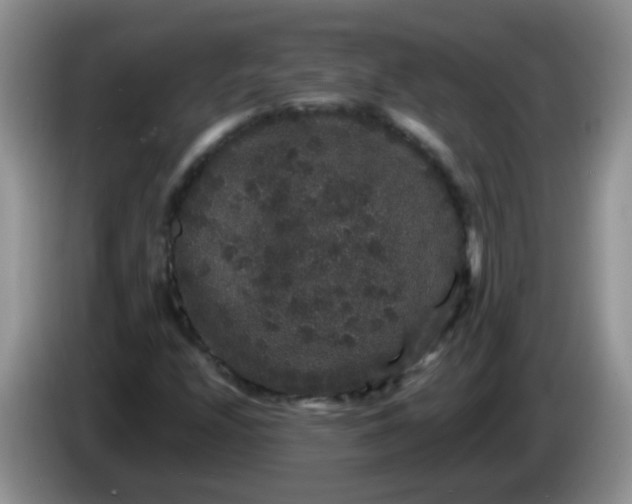 X0000086261208200704122004