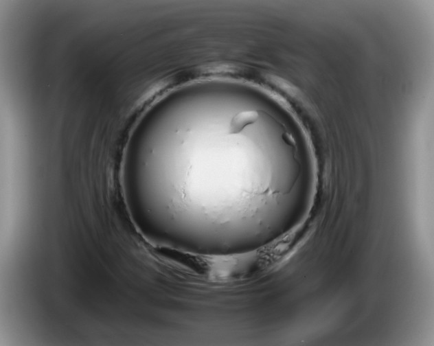 X0000086261209200704122004