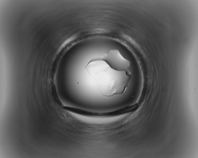 X0000086261210200704122004