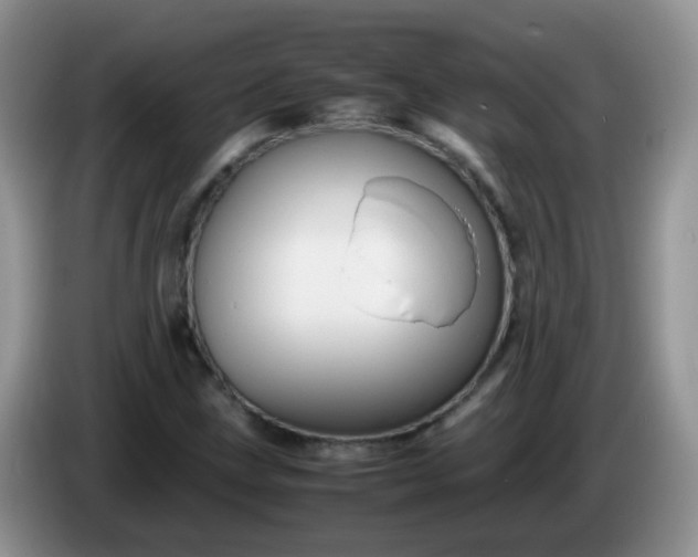 X0000086261211200704122004