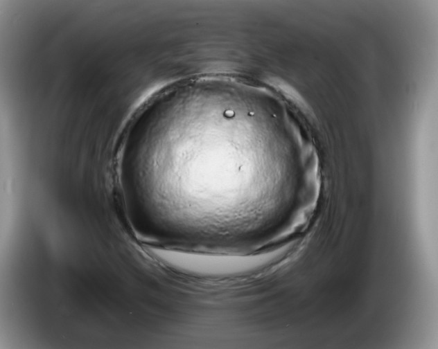 X0000086261212200704122004