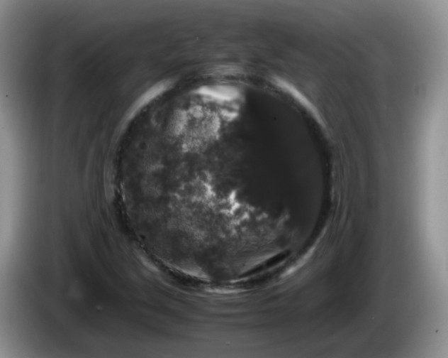 X0000086261213200704122004