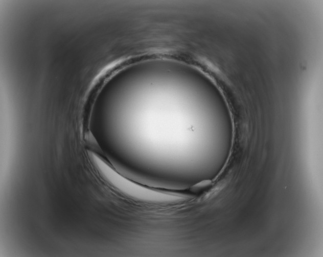X0000086261214200704122004