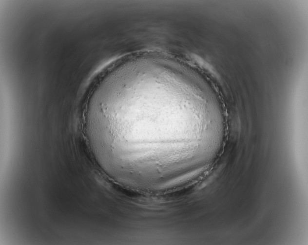X0000086261215200704122004