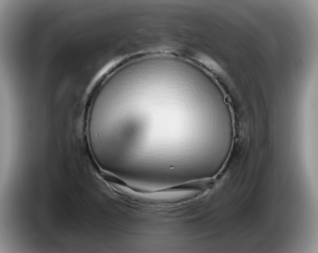 X0000086261216200704122004