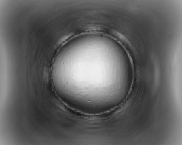 X0000086261217200704122004