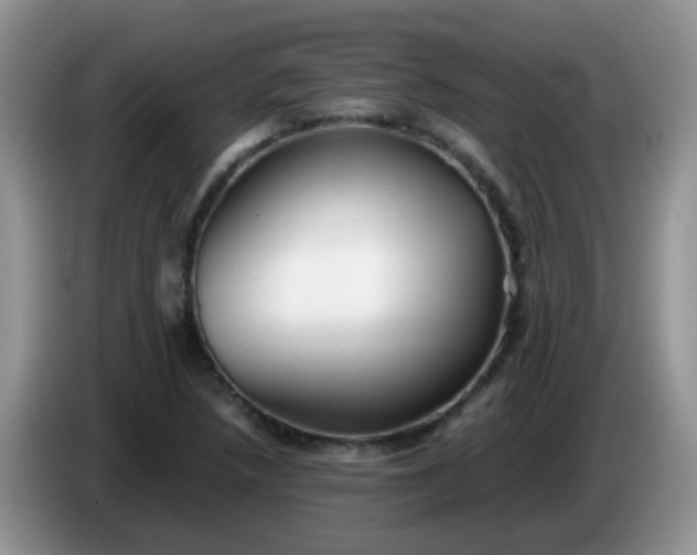 X0000086261218200704122004