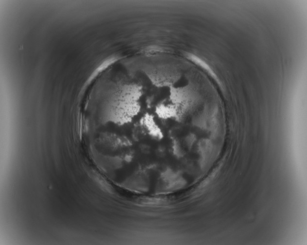 X0000086261219200704122004