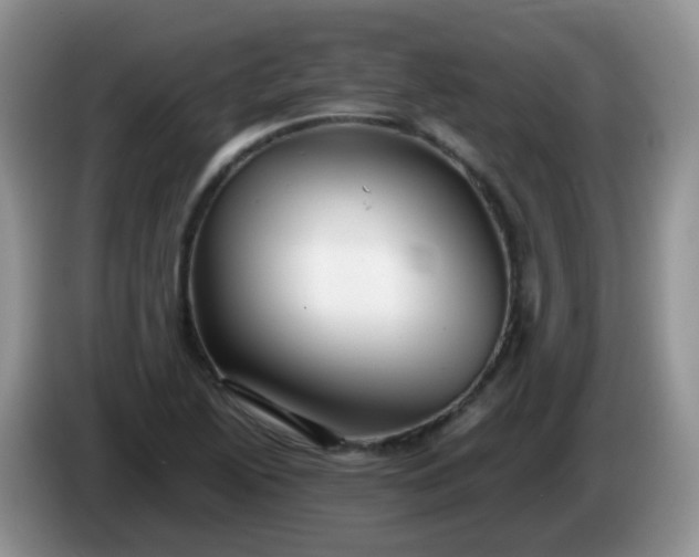 X0000086261222200704122004