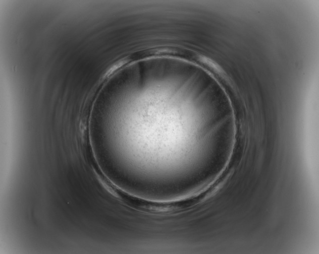 X0000086261225200704122004
