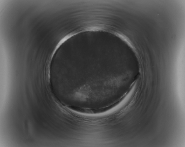 X0000086261226200704122004