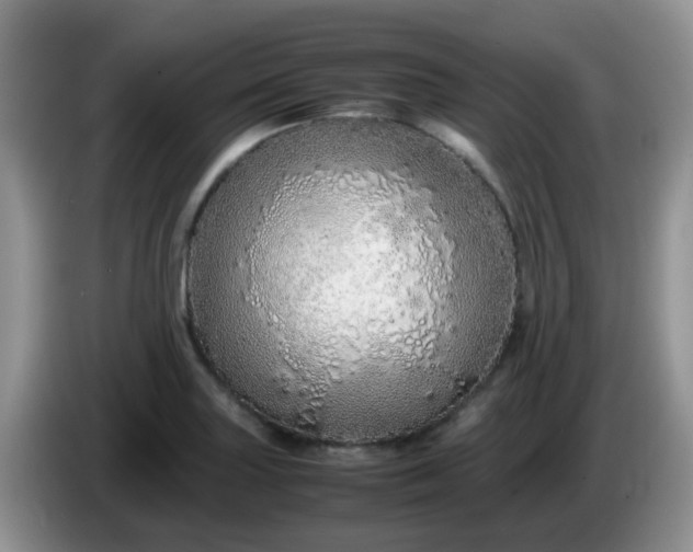 X0000086261227200704122004