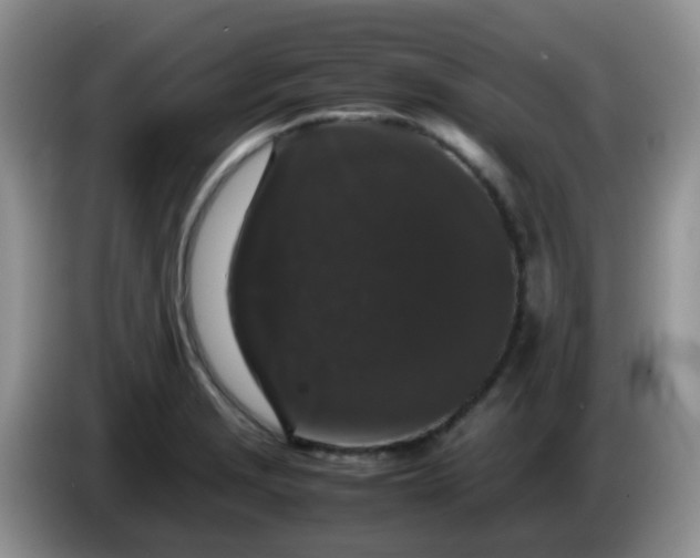 X0000086261229200704122004