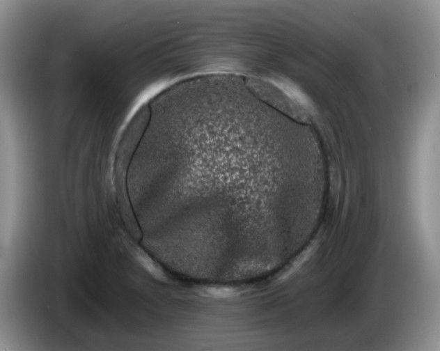 X0000086261230200704122004
