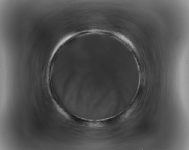 X0000086261231200704122004