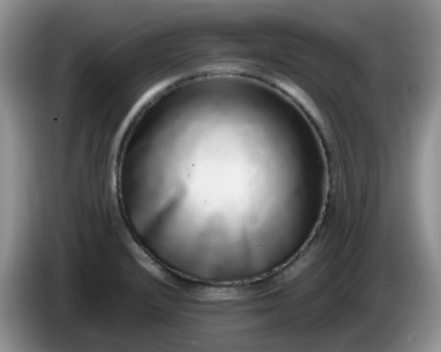 X0000086261232200704122004